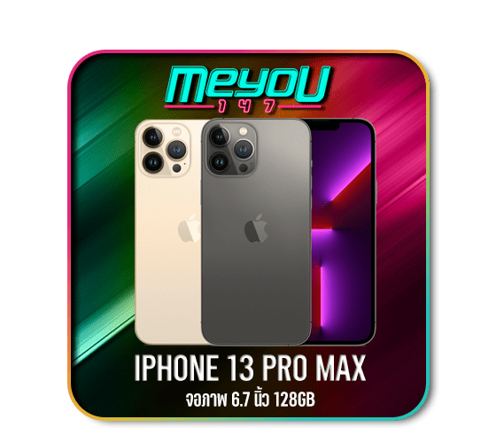 iPhone 13 Pro Max MEYOU147